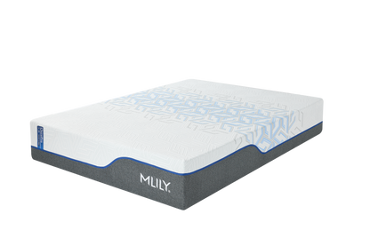 ChiroPro 3.0 Plush Hybrid Mattress