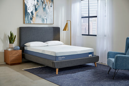MLILY® ChiroPro Firm 13" Mattress